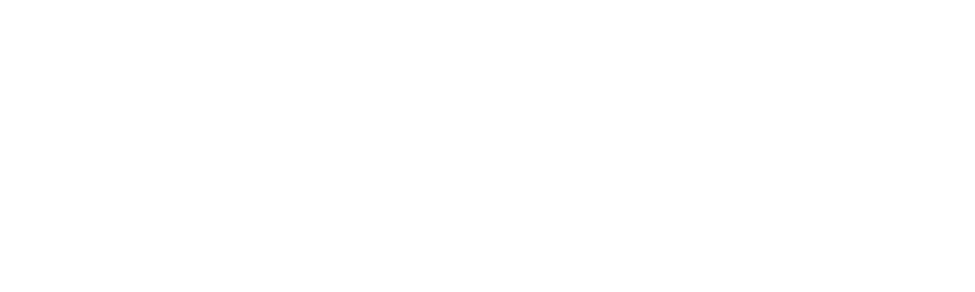 Item 1