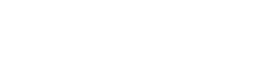 Item 1